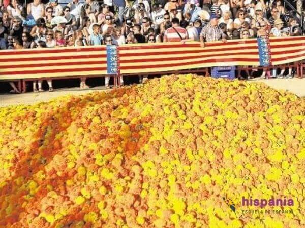 Flores preparadas para la batalla de flores las flores en Valencia Hispania, escuela de español