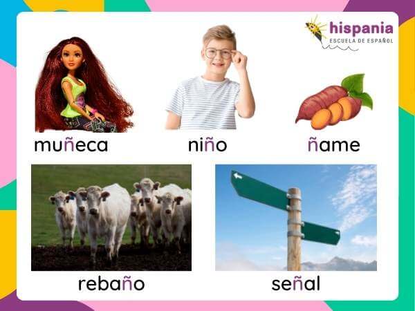 Palabras con la letra ñ en español. Hispania, escuela de español