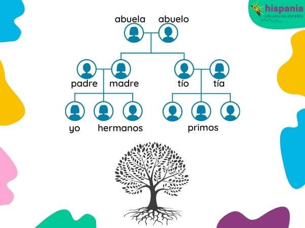 Vocabulario sobre la familia en español. Hispania, escuela de español
