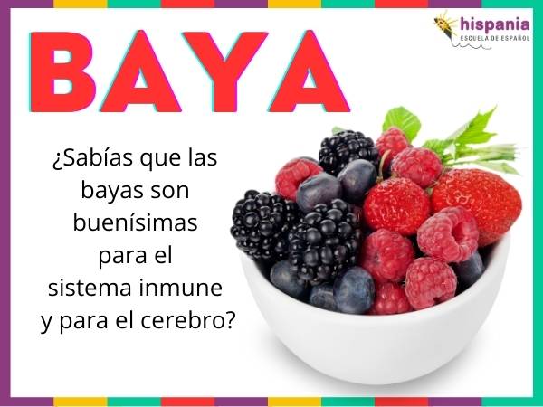Baya fruto carnoso. Hispania, escuela de español