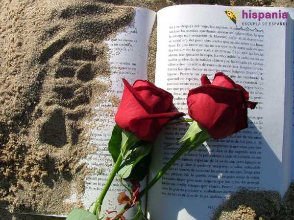 Día de San Jordi regalo libro y rosa. Hispania, escuela de español