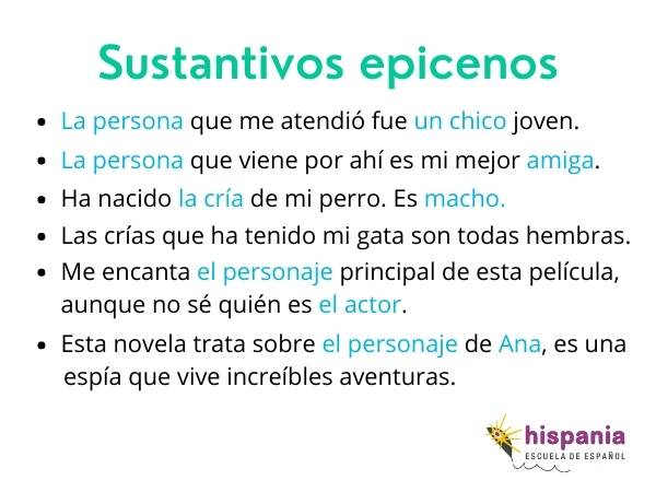 Sustantivos epicenos. Hispania, escuela de español
