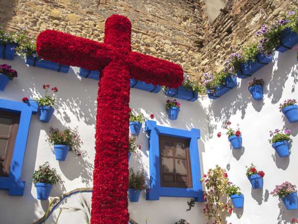 Cruz de mayo en Córdoba. Hispania, escuela de español