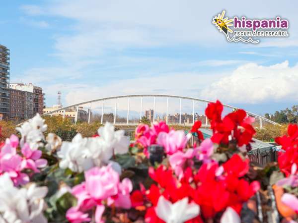 El puente de las Flores y el Puente de la Exposición. Hispania, escuela de español