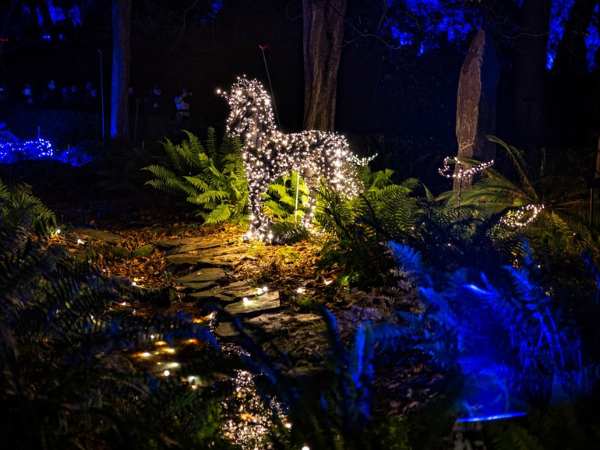 Jardines del Real con luces de Navidad