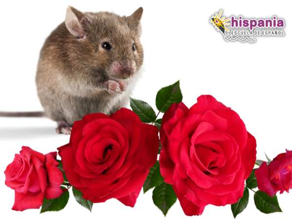 Trabalenguas del ratón con las rosas. Hispania, escuela de español