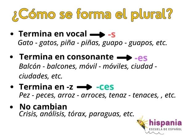 Come formare il plurale in spagnolo. Hispania, escuela de español