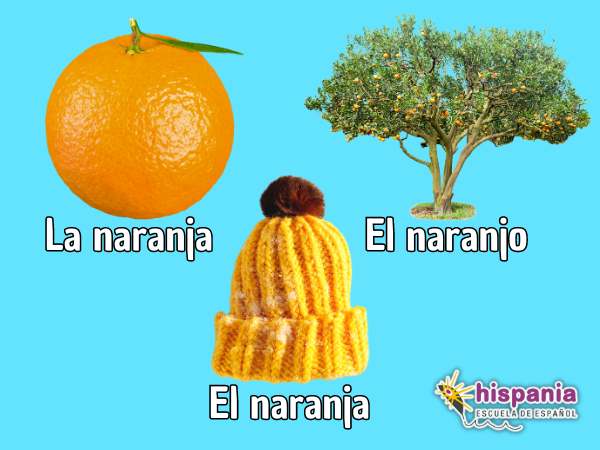 Diferencias entre la naranja, el naranjo y el naranja. Hispania, escuela de español