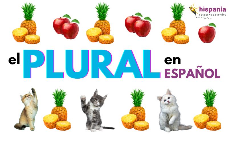 The plural in Spanish. Hispania, escuela de español