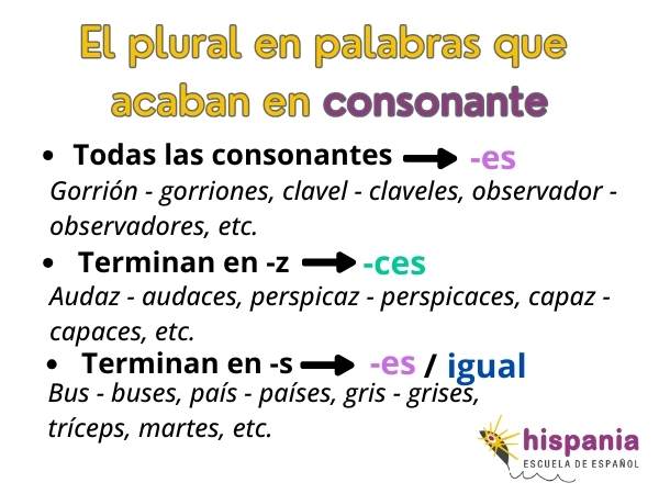 Множина в словах, які закінчуються на приголосний. Hispania, escuela de español