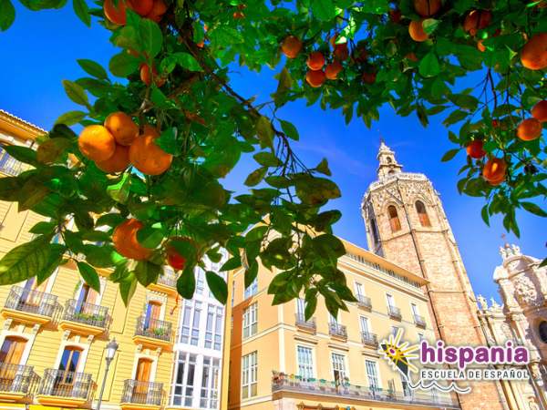 Geschiedenis van Valencia-sinaasappelen. Hispania, escuela de español